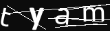 verifycode
